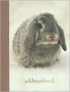 Bunnies Mini Address Book - Dan Duchars