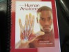 Human Anatomy (Loose Leaf) - Michael McKinley, Valerie Dean O'Loughlin