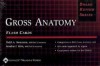 Gross Anatomy: Clinically Relevant Anatomy! (Board Review Series) (Flashcards edition) - Todd A. Swanson, Sandra I. Kim