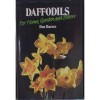 Title: DAFFODILS - Don Barnes