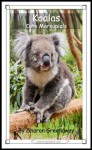 Koalas: Cute Marsupials (15-Minute Books) - Sharon Greenaway