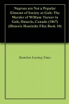 Negroes are Not a Popular Element of Society at Galt: The Murder of William Turner in Galt, Ontario, Canada (1867) (Historic Homicide Files Book 10) - Hamilton Evening Times, Ken Scheffler