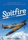 Spitfire Mark I P9374 - Andy Saunders