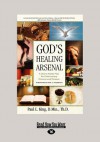 God's Healing Arsenal: A Divine Battle Plan for Overcoming Distress and Disease (Large Print 16pt) - Paul L King