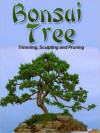 Bonsai Trees - Sam Dillon, M&M Pubs