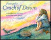 Fixing the Crack of Dawn - Erica Silverman