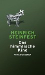 Das himmlische Kind: Roman (German Edition) - Heinrich Steinfest