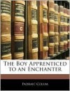 The Boy Apprenticed to an Enchanter - Padraic Colum