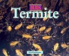 Termites (Bugs) - Kris Hirschmann