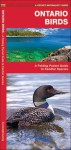 Ontario Birds: A Folding Pocket Guide to Familiar Species - James Kavanagh