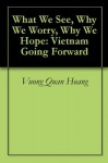 What We See, Why We Worry, Why We Hope: Vietnam Going Forward - Vuong Quan Hoang, Nancy K. Napier