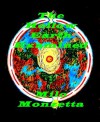 The Hollow Earth Examined - Milo Monzetta