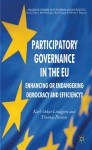 Participatory Governance in the EU: Enhancing or Endangering Democracy and Efficiency? (Palgrave Studies in European Union Politics) - Karl-Oskar Lindgren, Thomas Persson