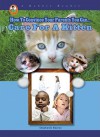 Care for a Kitten (A Robbie Reader) (How to Convince Your Parents You Can...) - Stephanie Bearce