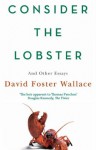 Consider The Lobster: Essays and Arguments - David Foster Wallace