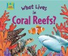 What Lives in Coral Reefs? - Oona Gaarder-juntti