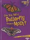 Can You Tell a Butterfly from a Moth? - Buffy Silverman