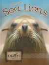 Steller Sea Lions - Precious Stearns