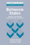Between States: Interim Governments in Democratic Transitions (Cambridge Studies in Comparative Politics) - Yossi Shain, Juan J. Linz