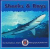 Sharks & Rays - Stanley L. Swartz, Robert Yin