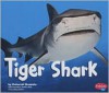 Tiger Shark - Deborah Nuzzolo, Gail Saunders-Smith