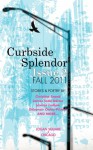 Curbside Splendor Semi-Annual Journal (Issue 2 - Fall 2011) - Leah Tallon, Lauryn Allison Lewis, Karolina Faber, Lavinia Ludlow, Christine Sneed, James Tadd Adcox, Kathleen Rooney, E. Michael Desilets, Michael San Filippo, Kerry Lanigan, Richard Schnap, Farah Ghuznavi, Simon Patullo, JB Mulligan, John Grey, Elisa Gabbert, Ben Spies