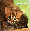 ZooBorns Cats!: The Newest, Cutest Kittens and Cubs from the World's Zoos - Andrew Bleiman, Chris Eastland