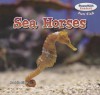 Sea Horses - Maddie Gibbs