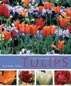 Gardening with Tulips - Michael King