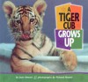 A Tiger Cub Grows Up - Joan Hewett, Richard Hewett