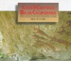 Cave Paintings Of Baja California: Discovering the Great Murals of an Unknown People - Harry W. Crosby