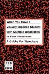 When You Have a Student With Visual and Multiple Disabilities in Your Classroom: A Guide for Teachers - Jane N. Erin, Susan Jay Spungin