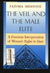 Veil and the Male Elite: A Feminist Interpretation of Women's Rights in Islam - Fatima Mernissi, Mary Jo Lakeland