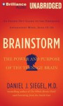 Brainstorm: The Teenage Brain from the Inside Out - Daniel J. Siegel