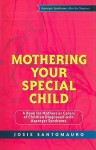 Mothering Your Special Child: A Book for Mothers or Carers of Children Diagnosed with Asperger Syndrome - Josie Santomauro