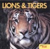 Lions & Tigers - Joanne Mattern