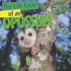 The Life Cycle of an Opossum - Barbara M. Linde