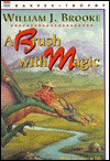 A Brush with Magic - William J. Brooke