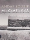 Mezzaterra: Fragments from the Common Ground - Ahdaf Soueif