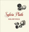 Sylvia Plath: Drawings - Sylvia Plath, Frieda Hughes