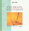 Eye, Brain, and Vision - David H. Hubel