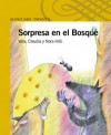 Sorpresa En El Bosque - Vera Hilb, Claudia Hilb, Nora Hilb