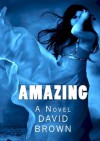 Amazing: A Novel - David Brown