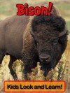 Bison! Learn About Bison and Enjoy Colorful Pictures - Look and Learn! (50+ Photos of Bison) - Becky Wolff