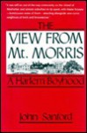 The View from Mt. Morris: A Harlem Boyhood - John B. Sanford