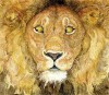 The Lion and the Mouse. Jerry Pinkney - Jerry Pinkney