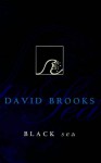 Black Sea - David Brooks