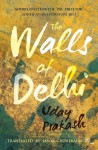 The Walls of Delhi - Uday Prakash, Jason Grunebaum