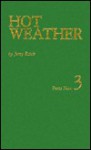 Hot Weather: Poems Selected and New (Poets Now) - Jerry Ratch