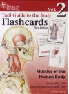 Trail Guide to the Body Flashcards Volume 2: Muscles of the Human Body - Andrew R. Biel